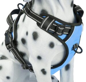 Dog Essentials Harness