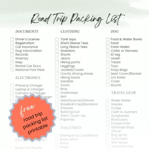 road trip packing list