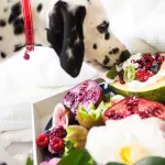 holiday foods safe for dogs